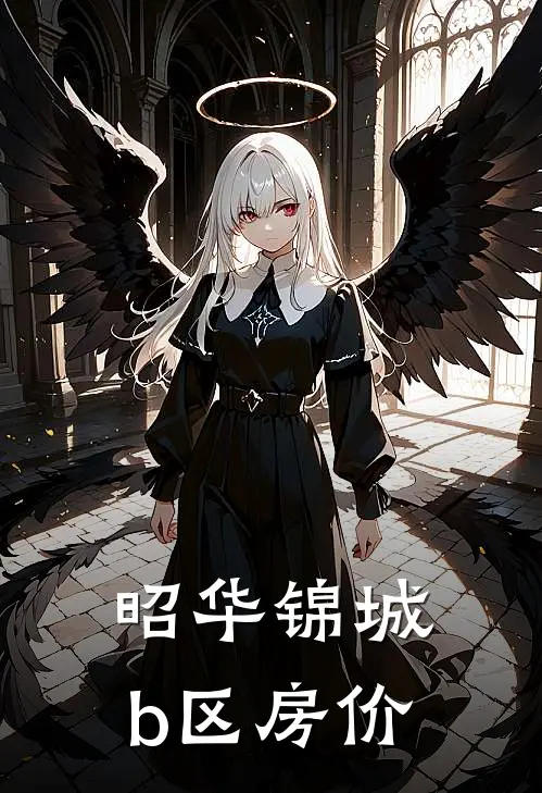 昭华锦城b区房价