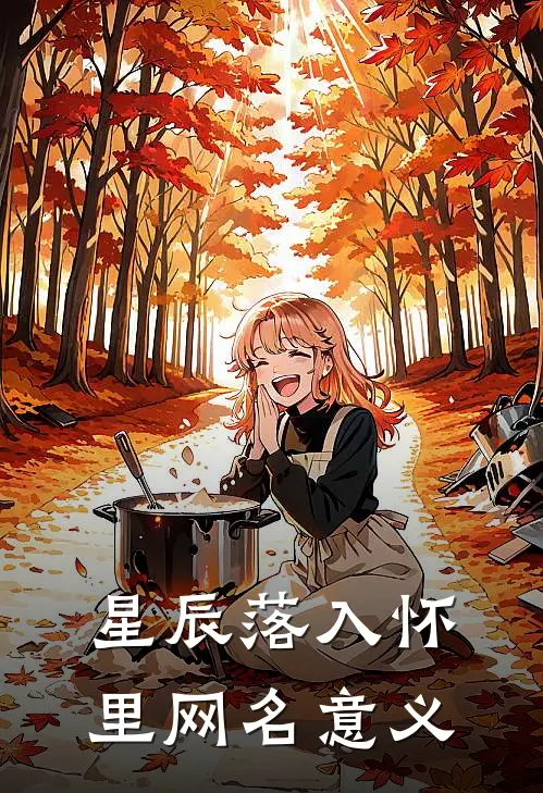 星辰落入怀里网名意义