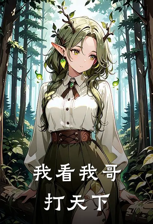 我看我哥打天下