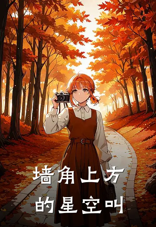 墙角上方的星空叫