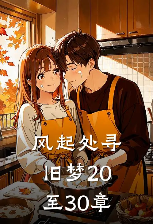 风起处寻旧梦20至30章